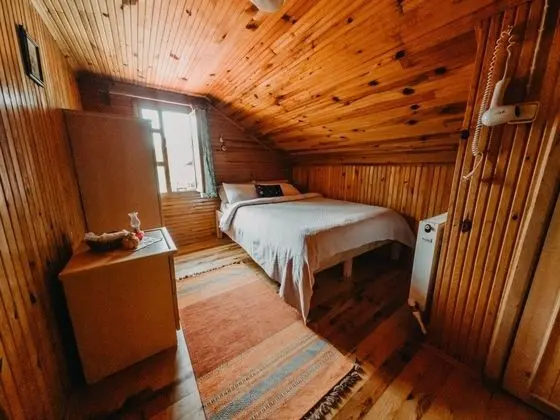 Standart Oda - Dağ Manzaralı