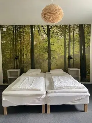 Tek Büyük Yataklı Oda, Ortak Banyo