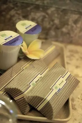 Deluxe Oda, Teras, Havuz Manzaralı