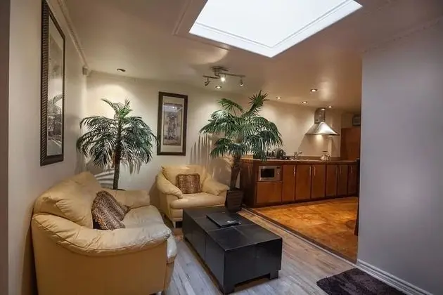 Executive Çatı Katı Süiti (Penthouse), 1 En Büyük (King) Boy Yatak