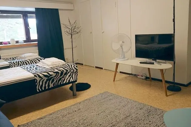 Studio Apartment with shared bathroom - 8 -