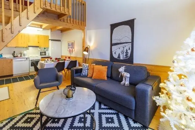 Comfort Apart Daire, 1 Yatak Odası, Sigara İçilmez, Sauna