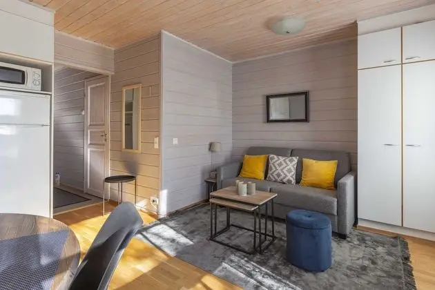 Classic Apart Daire, 1 Yatak Odası, Sigara İçilmez, Sauna