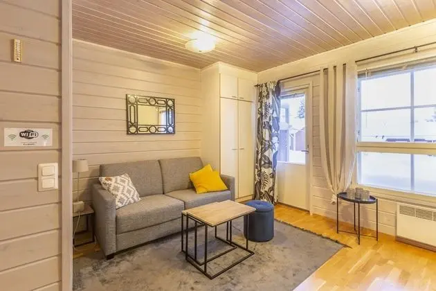 Classic Apart Daire, 1 Yatak Odası, Sigara İçilmez, Sauna