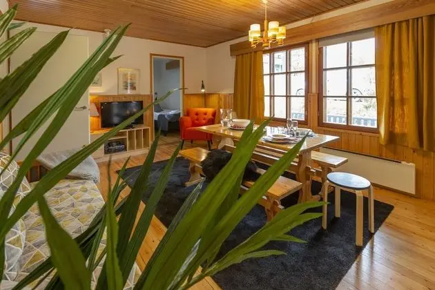 Standard Apart Daire, 4 Yatak Odası, Sigara İçilmez, Sauna