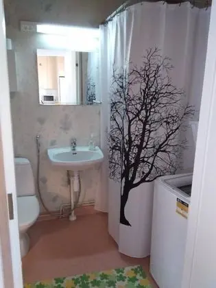 Apart Daire, 1 Yatak Odası, Sauna (# D8)