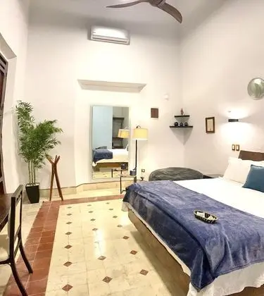 Deluxe Oda, 1 En Büyük (King) Boy Yatak, Buzdolabı, Bahçe Manzaralı