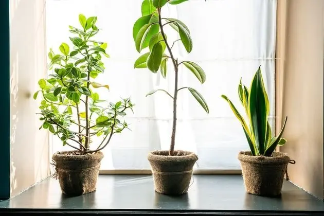 Comfort Tek Büyük Yataklı Oda, 1 Yatak Odası