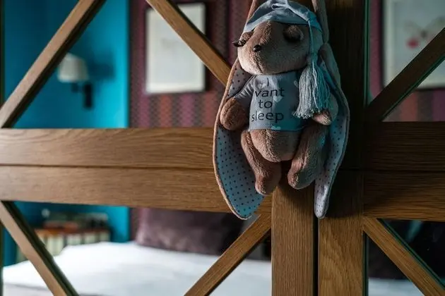 Comfort Tek Büyük Yataklı Oda, 1 Yatak Odası