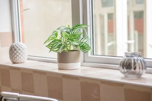 Ev, Özel Banyo, Bahçe Manzaralı (KVM - Swan House)