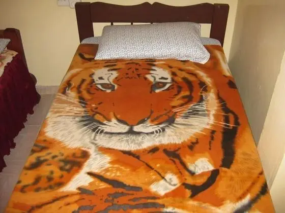 İki Ayrı Yataklı Oda, Birden Çok Yatak, Sigara İçilmez