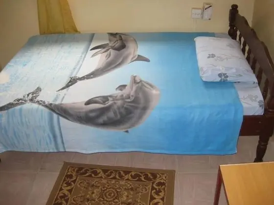 Tek Büyük Yataklı Oda, 1 Çift Kişilik Yatak, Sigara İçilmez