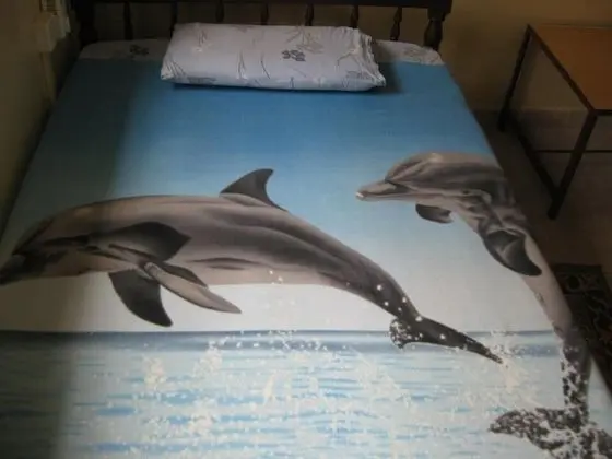 Tek Büyük Yataklı Oda, 1 Çift Kişilik Yatak, Sigara İçilmez