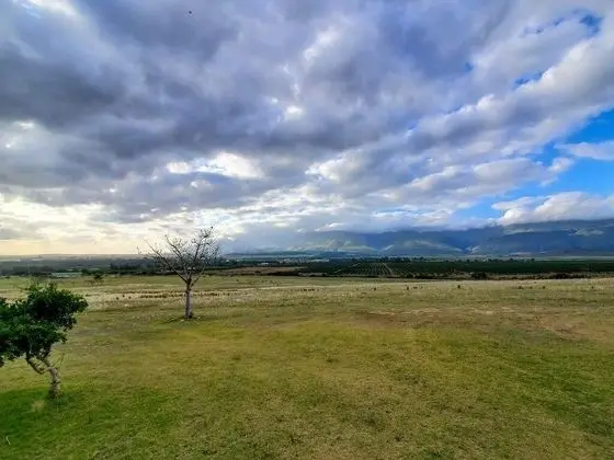 Comfort Kır Evi, 1 Yatak Odası (Self-Catering Cottage)