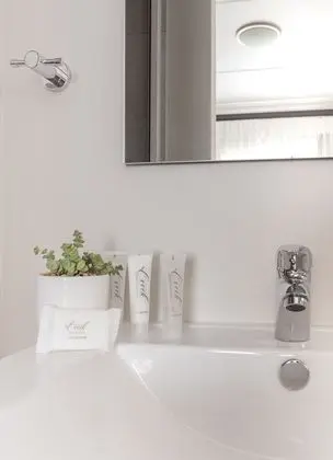 Deluxe Apart Daire, 1 Yatak Odası