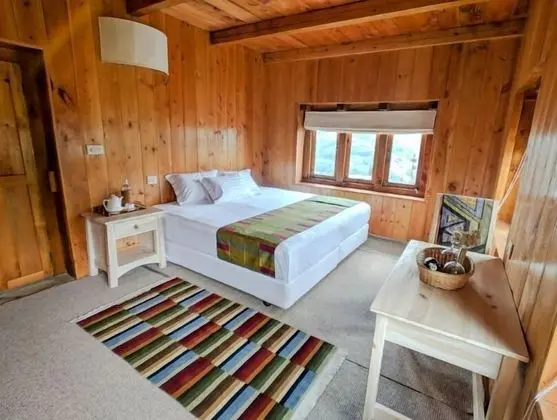 Deluxe Oda, 1 Çift Kişilik Yatak, Engellilere Uygun, Sigara İçilmez