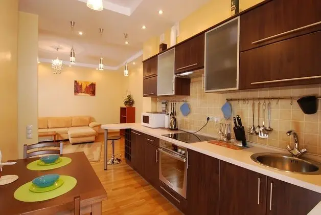 Executive Apart Daire, 1 Büyük (Queen) Boy Yatak ve Çekyat (121 Saksaganskogo street)