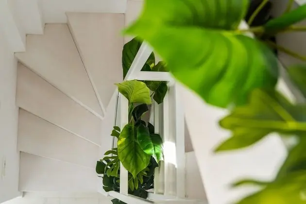 Luxury Villa, 2 Yatak Odası, Kişiye Özel Havuzlu