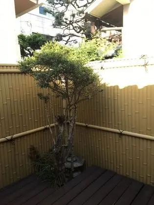 Traditional Ev (Japanese Style)