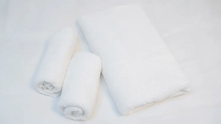 Traditional Sıra Ev