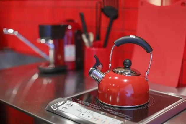 Ev (Private Vacation Home)