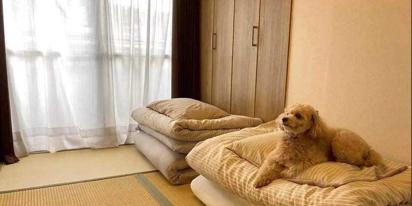 Deluxe Apart Daire, Birden Çok Yatak, Sigara İçilmez
