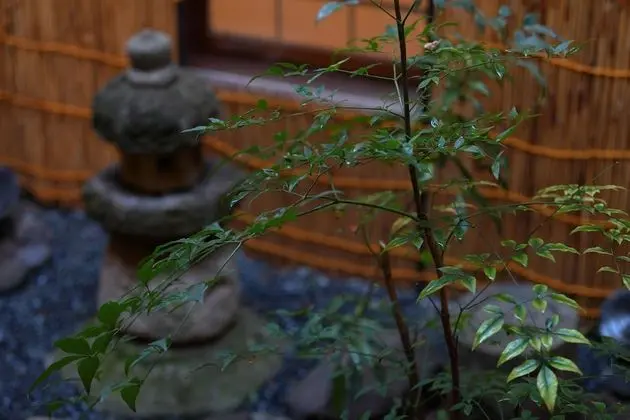 Traditional Oda (Private Room with Inner Garden)