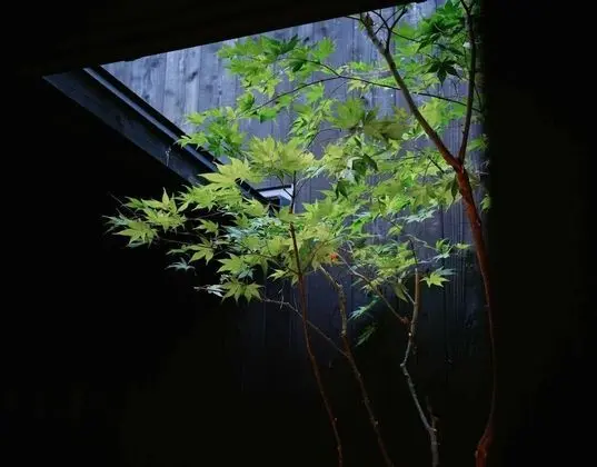Ev (Private Japanese Machiya Suite SHU)