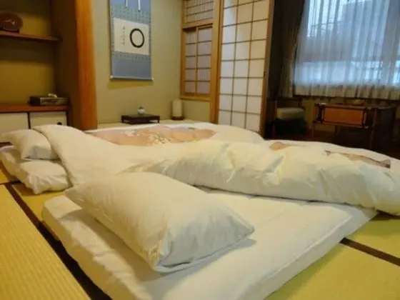 Standard Oda, Sigara İçilmez (10 Tatami Mats, Check-in before 9PM)