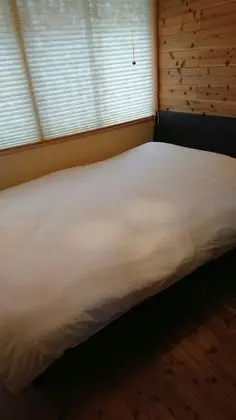 Ev
