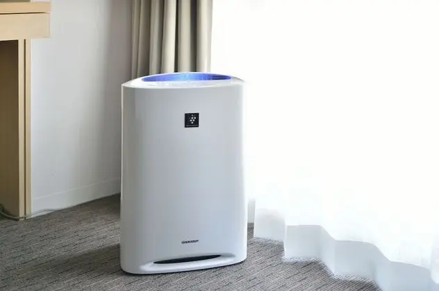 Premium İki Ayrı Yataklı Oda, Sigara İçilmez (gym access, shuttle bus from Kyoto St)