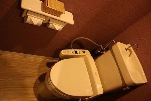 Standard Tek Büyük Yataklı Oda, Sigara İçilebilir (Love Hotel)