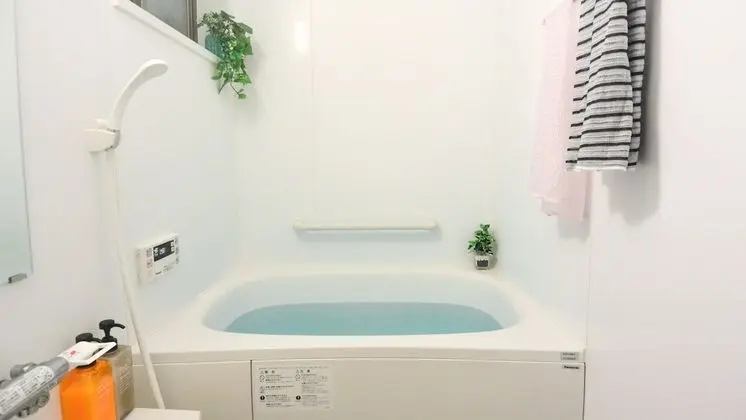 Ev, Özel Banyo