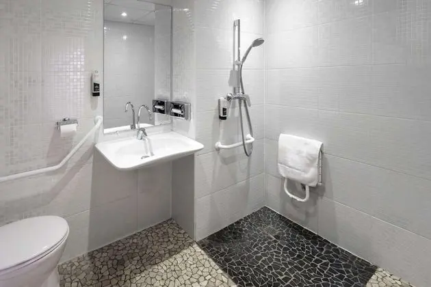 Superior Oda, 1 En Büyük (King) Boy Yatak, Sigara İçilmez, Küçük Mutfak (with Sofabed)