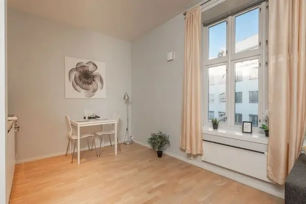 Apart Daire, 1 Yatak Odası