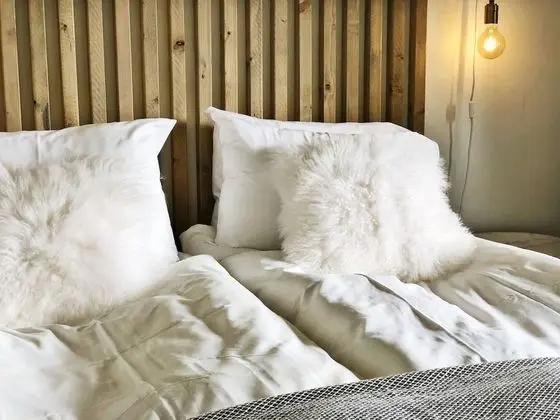 Premium Tek Büyük Yataklı Oda