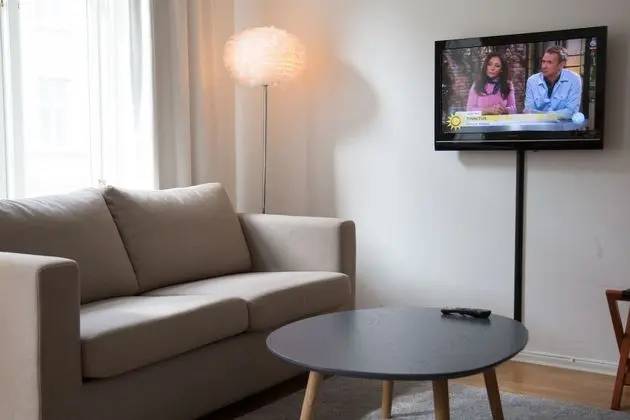 Superior Oda, 1 En Büyük (King) Boy Yatak ve Çekyat, Sigara İçilmez