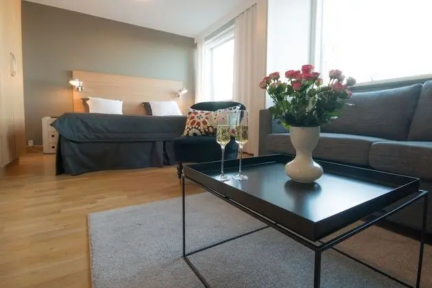 Superior Oda, 1 En Büyük (King) Boy Yatak ve Çekyat, Sigara İçilmez