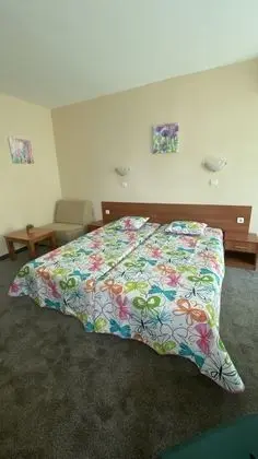 Tek Büyük veya İki Ayrı Yataklı Oda, Balkon