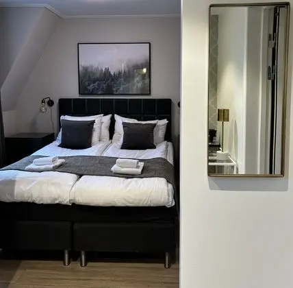 Standard Tek Büyük Yataklı Oda, Özel Banyo