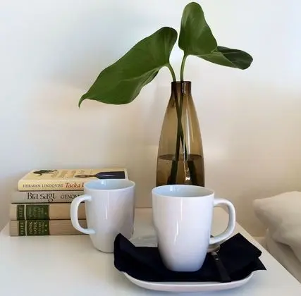 İki Ayrı Yataklı Oda