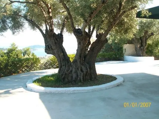 Apart Daire, 2 Yatak Odası, Deniz Manzaralı