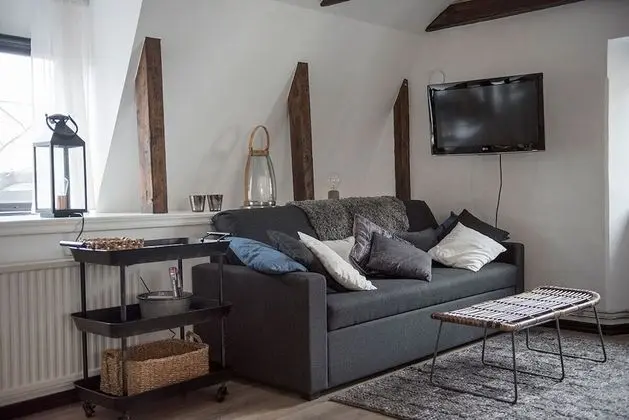 Çatı Katı Süiti (Penthouse)