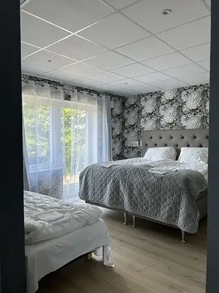 Standard Stüdyo Süit, 1 En Büyük (King) Boy Yatak ve Çekyat