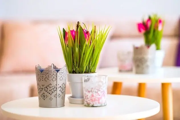 Exclusive Apart Daire, Avlu Manzaralı