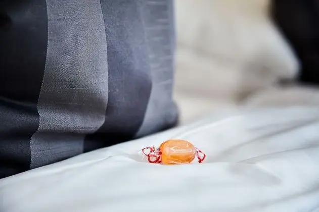 Superior İki Ayrı Yataklı Oda