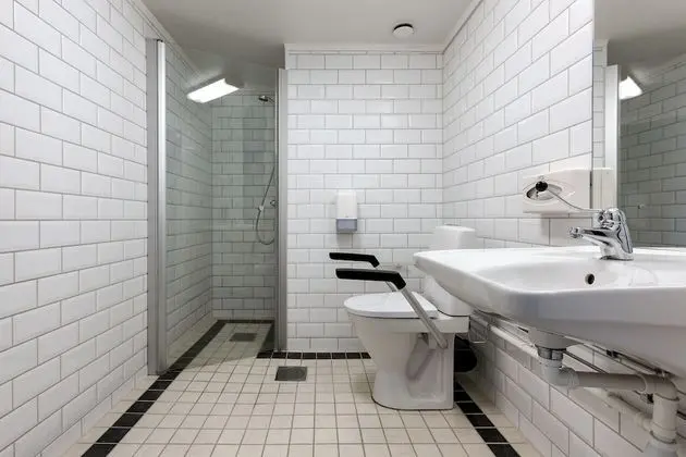 Superior Tek Büyük Yataklı Oda, Şehir Manzaralı