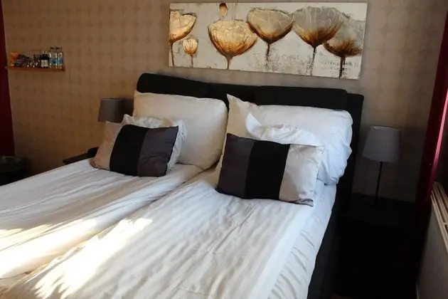 Tek Büyük veya İki Ayrı Yataklı Oda, 2 Tek Kişilik Yatak (Spa Access)