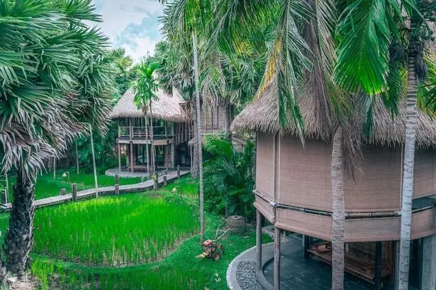Tropical Village Garden View