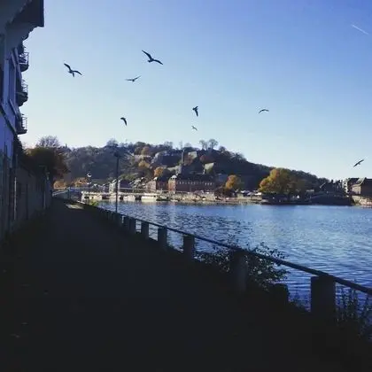 Standard Tek Büyük Yataklı Oda, Bahçe Manzaralı